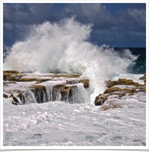 Bonaire's wild side at the east coast. Bonaire's wild side at the east coast.