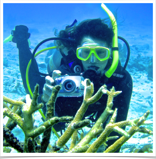 Monitoring coral health and anthropogenic impacts on reef communities in southern Caribbean. Monitoring coral health and anthropogenic impacts on reef communities in southern Caribbean.