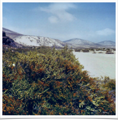 Deserted beaches at Costa Calma - Playa Barca - on the desert island of Fuerteventura. Deserted beaches at Costa Calma - Playa Barca - on the desert island of Fuerteventura.