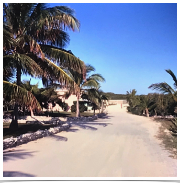 CMRC - Caribbean Marine Research Center at Lee Stocking Island
