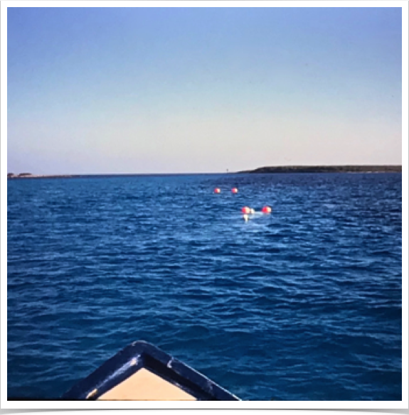 Channel Nets moored in 
Lee Stocking Island Channel
