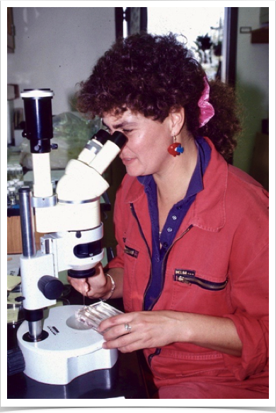 Evaluating larval fish supply to essential nursery habits around Lee Stocking Island.
