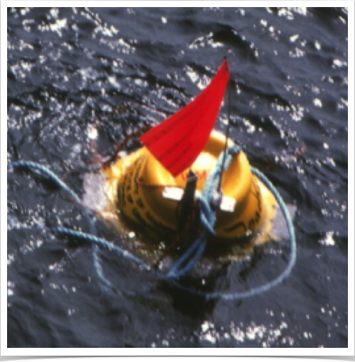 Recovered OBS.
Recovered OBS.