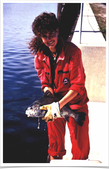 Black drum release - grown in captivity.