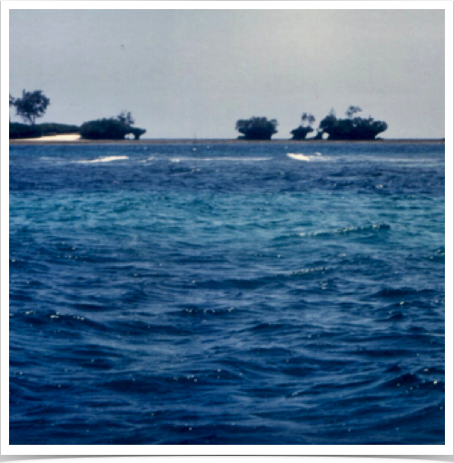 Kenya's south-east shoreline. Kenya's south-east shoreline.