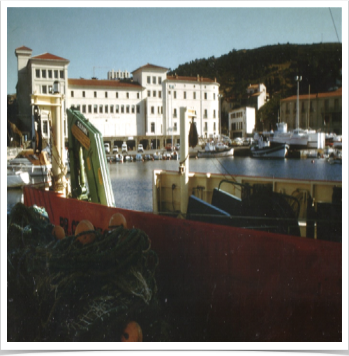 Mediterranean Observatoire Oc&eacute;anologique de Banyuls, Mediterranean Sea 