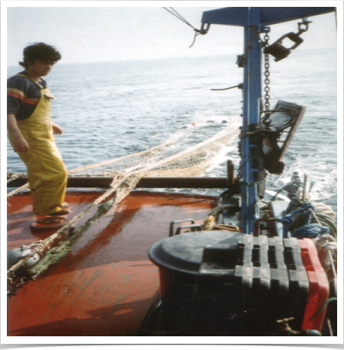 Collection of benthic organisms with trawls for biodiversity study