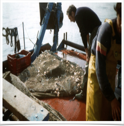 Habitats studied: rocky substrates, gravels, sands, and mixed substrates