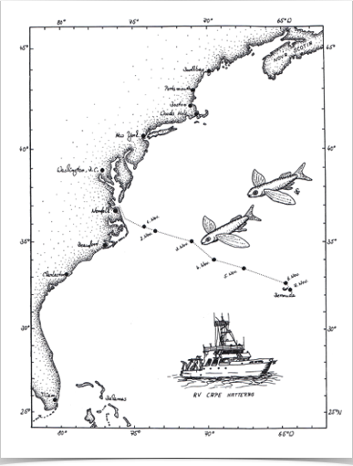 Oceanographic research in Sargasso Sea - adjacent to the Gulf Stream