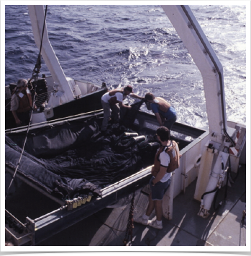 Research by day and night - every minute counts for our 24/7 research schedule on the CH.