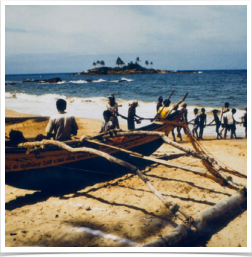 Destructive fishing methods such as the use of explosives and bottom-set nets are major causes of reef degradation. 