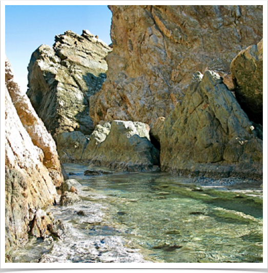 Exploring the rocky intertidal and reefs at Rendezvous Bay in St. John, USVI. Exploring the rocky intertidal and reefs at Rendezvous Bay in St. John, USVI.