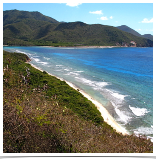 Reef Bay National Park - at St. John's (USVI) southern shores. Reef Bay National Park - at St. John's (USVI) southern shores.